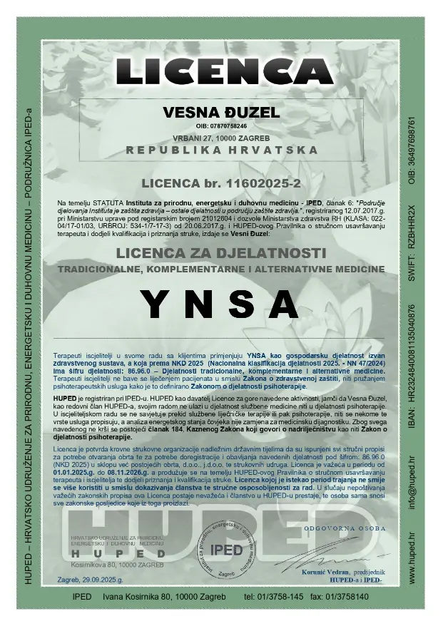 ynsa licenca